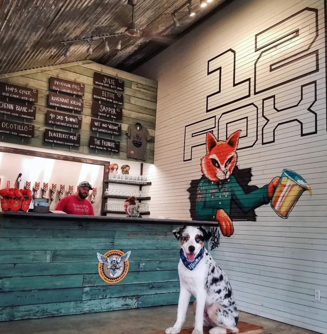 Dog Friendly Brewery